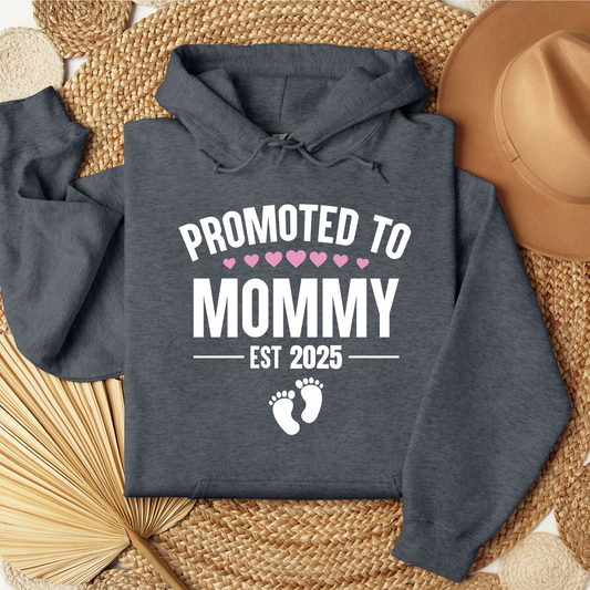 Promoted To Mommy Established Hoodie