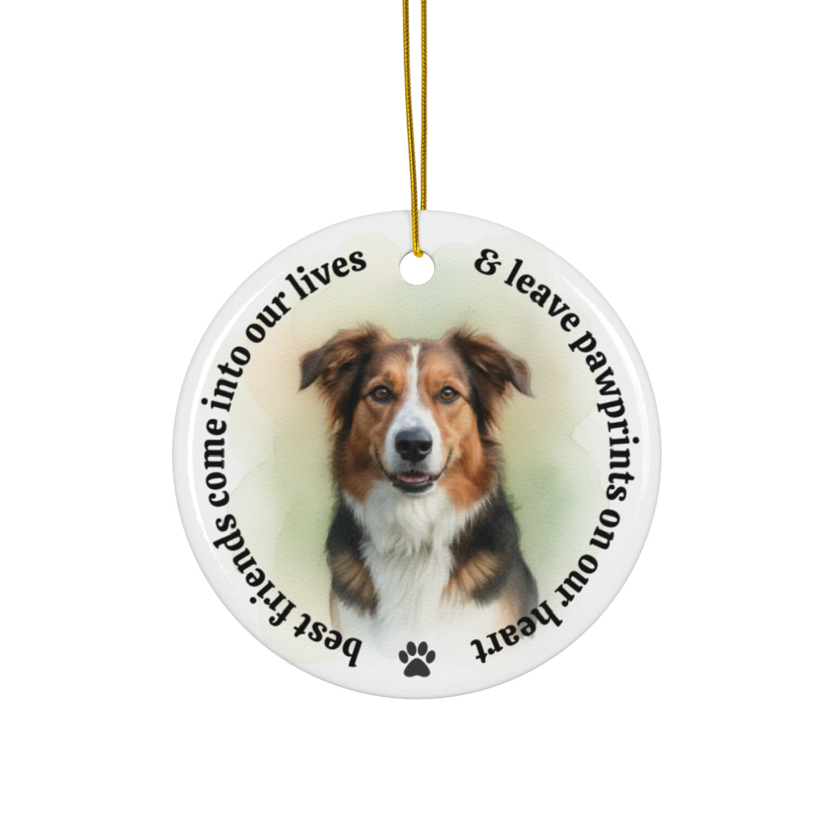 Custom Pet Memorial Ornament