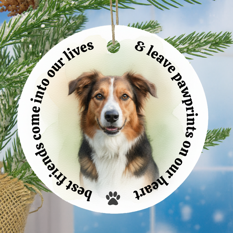Custom dog memorial ornament with pet photograph