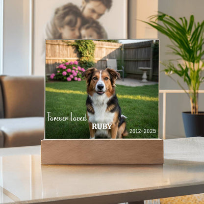 Personalized Photo Pet Memorial Light Up Acrylic Square Plaque