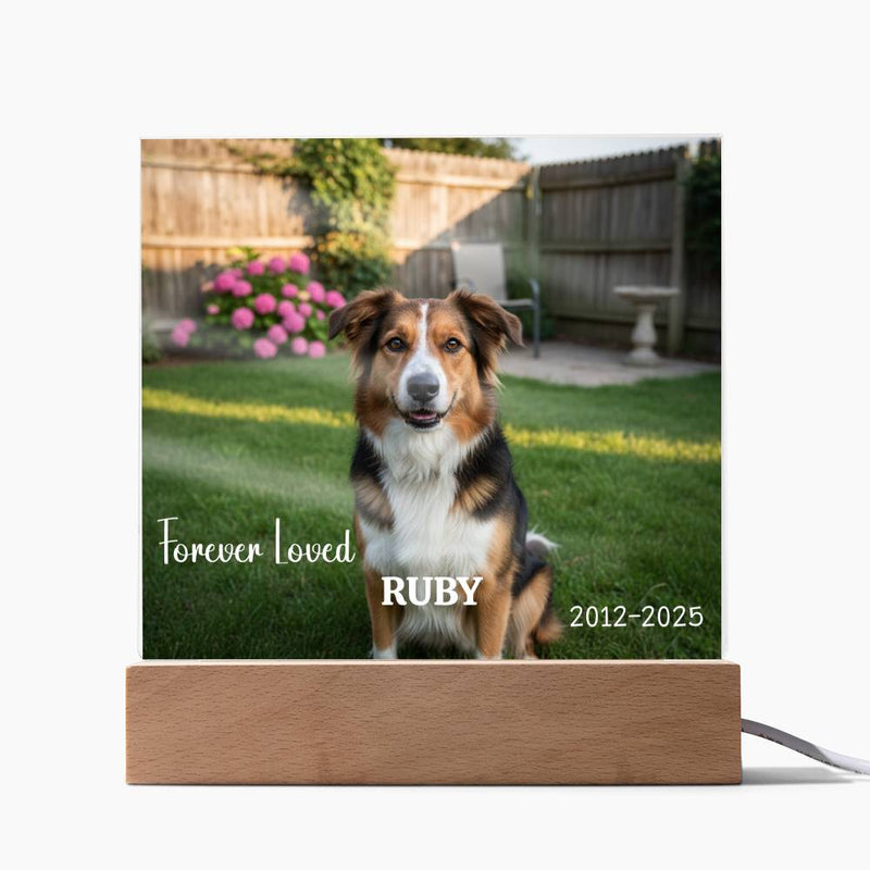 Personalized photo dog memorial light-up plaque