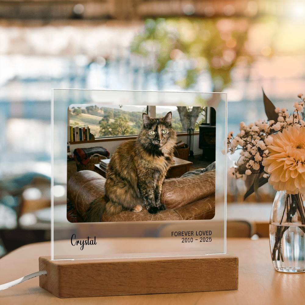 Custom Pet Sympathy Gift