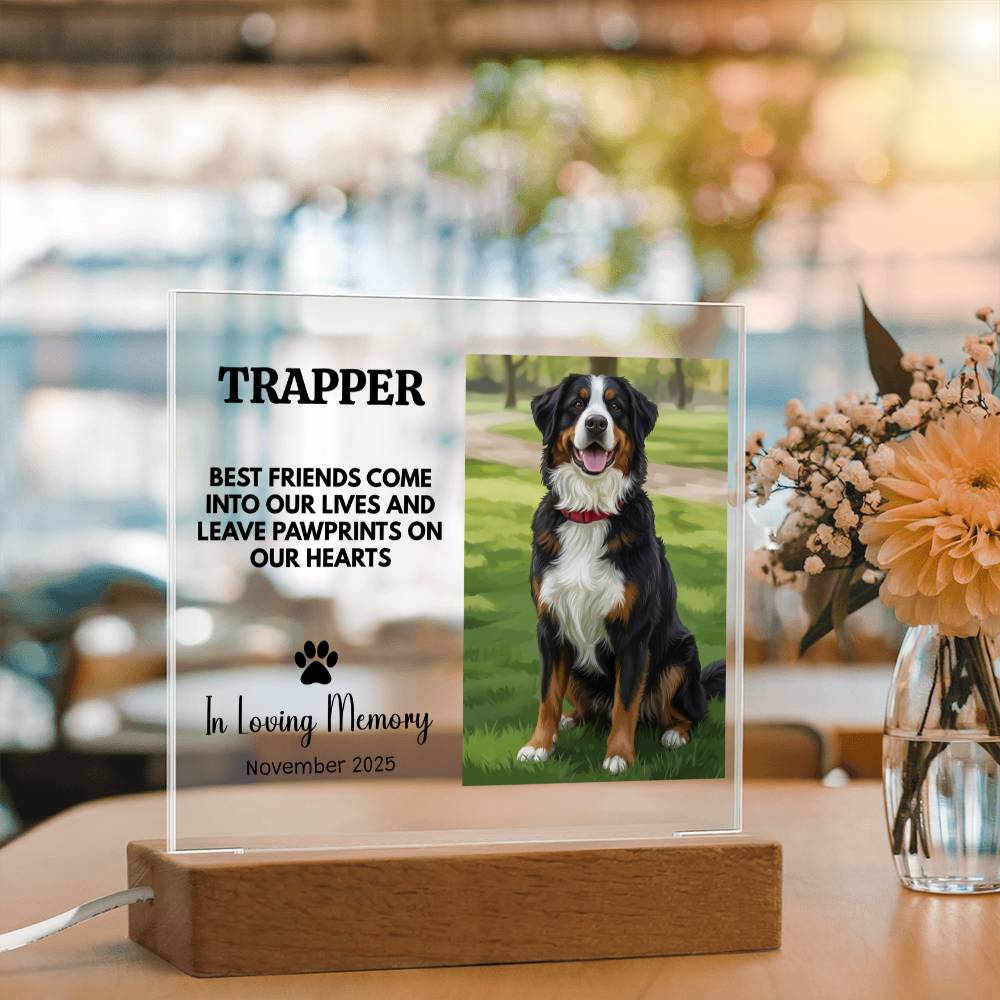 Personalized Pet Memorial Light Up Plaque