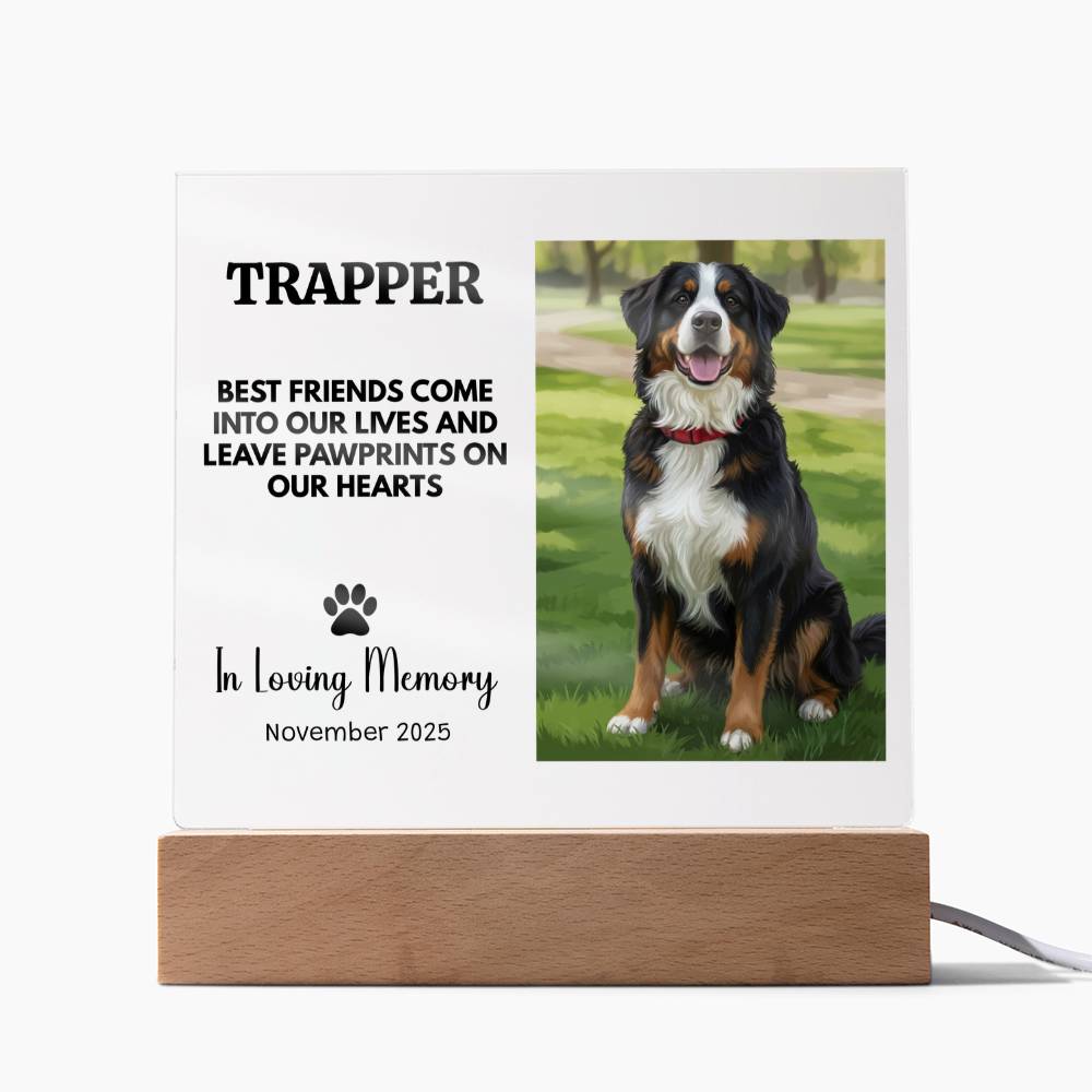 Personalized Pet Memorial Light Up Plaque