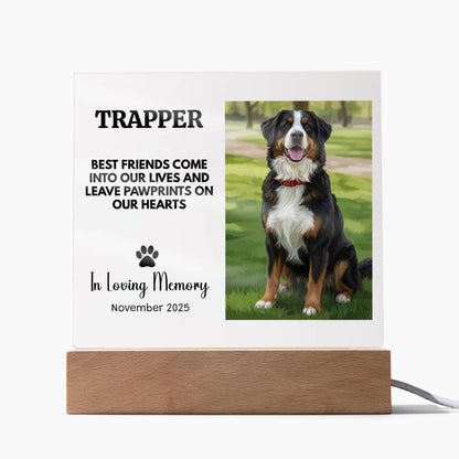 Personalized Pet Memorial Light Up Plaque