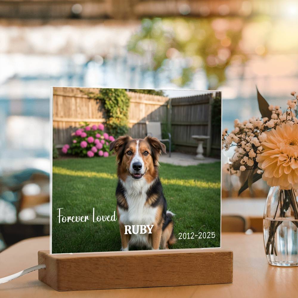 Personalized Photo Pet Memorial Light Up Acrylic Square Plaque