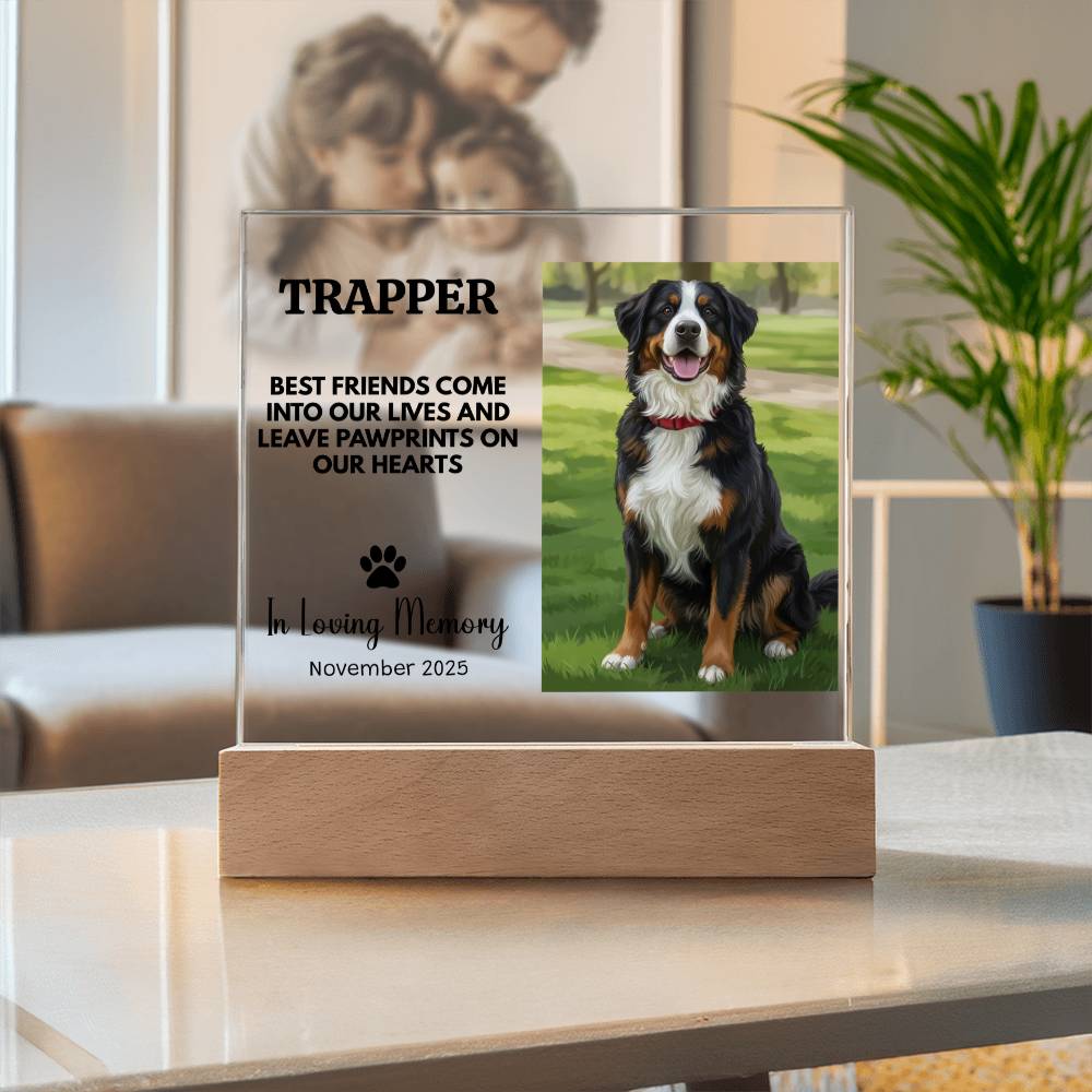 Personalized Pet Memorial Light Up Plaque