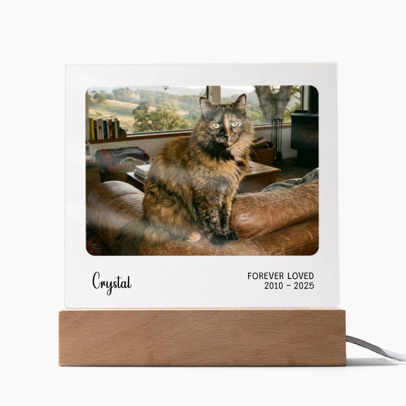 Custom pet sympathy gift with memorial photograph