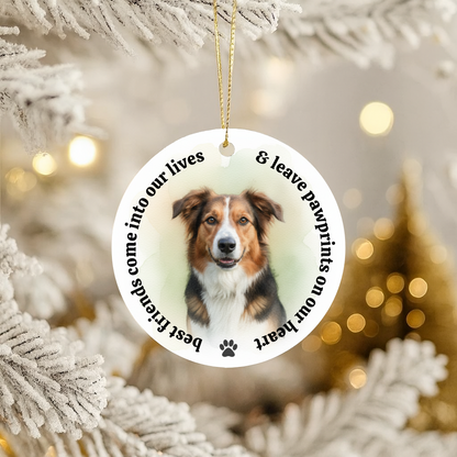 Custom Pet Memorial Ornament